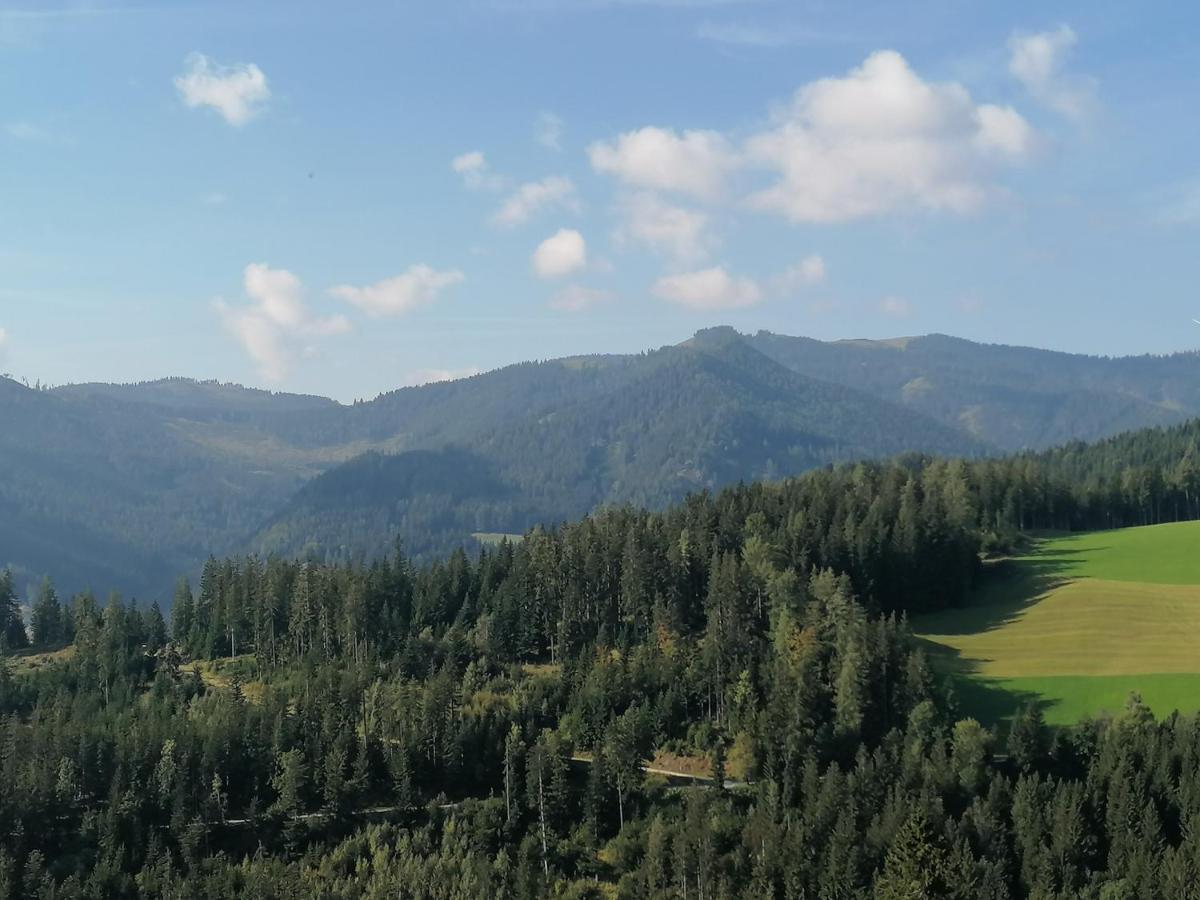 Ferienhaus Stubalpenblick Villa Salla Dış mekan fotoğraf