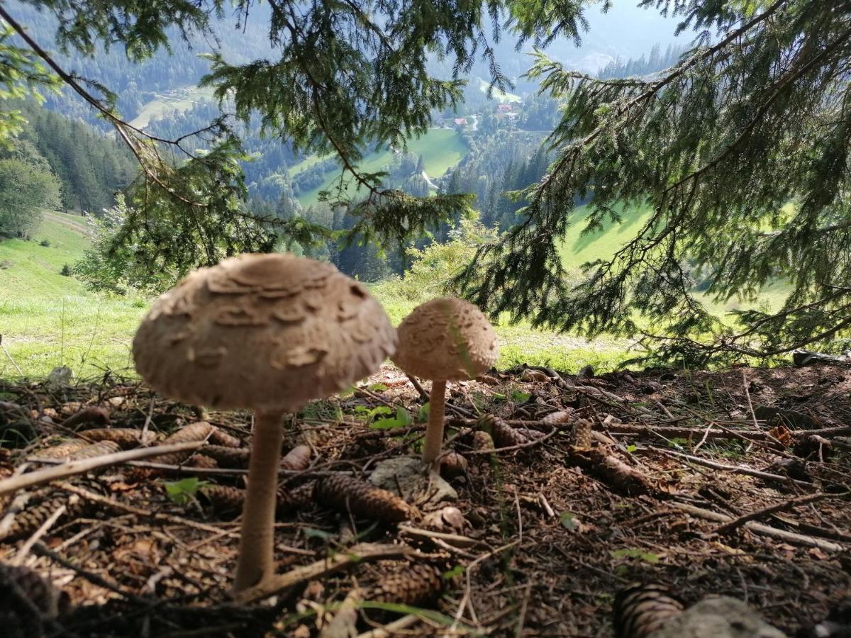 Ferienhaus Stubalpenblick Villa Salla Dış mekan fotoğraf